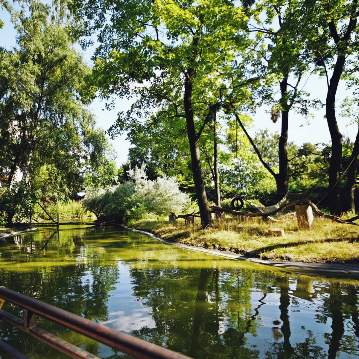 Zdjęcie okolicy inwestycji deweloperskiej Epika Jeżyce w Poznaniu