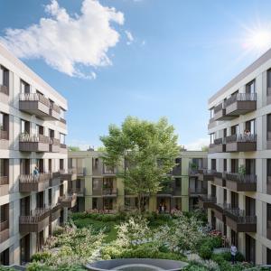 Zielony dziedziniec | październik 2024