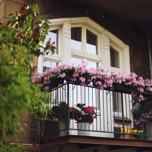 Ukwiecone balkony | październik 2024