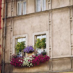 Ukwiecone balkony | październik 2024