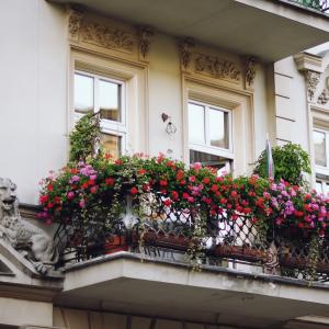 Ukwiecone balkony | październik 2024